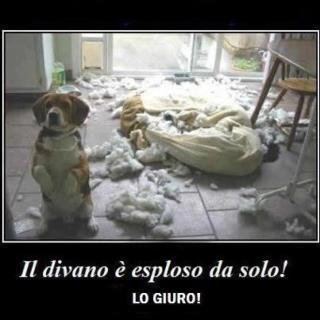 NUN SO' STATO IO !! - 11/06/2012