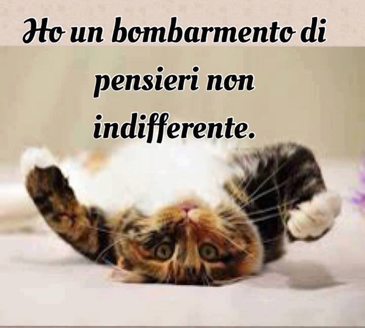 NUN E' DA POCO !! - 10/09/2013