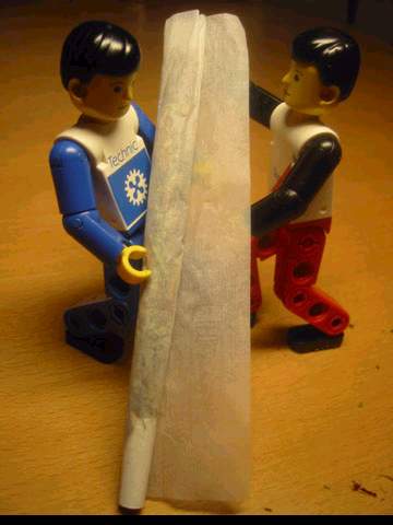 Immagine Divertente - 02/04/2012