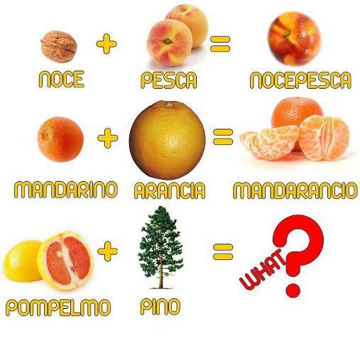 Immagine Divertente - 13/06/2012