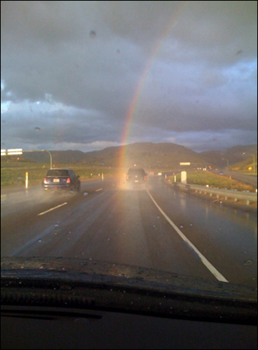 Immagine Divertente - 29/03/2012