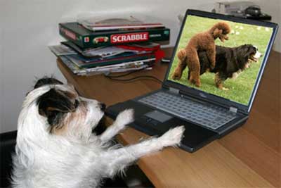 Immagine Divertente - 05/04/2012