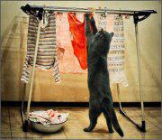 ME TOCCA FA' TUTTO A ME !! - 14/04/2013