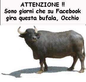 MEJO STA' ATTENTI !! - 23/04/2013