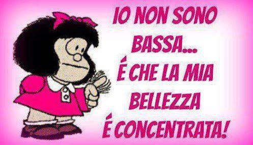 Immagine Divertente - 01/05/2013