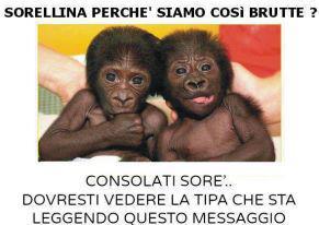 Immagine Divertente - 05/05/2013