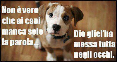 Immagine Divertente - 30/07/2013