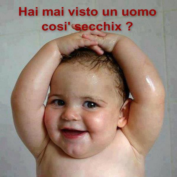 Immagine Divertente - 04/09/2013