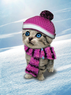 C'HO TROPPO FREDDO !! - 21/01/2013