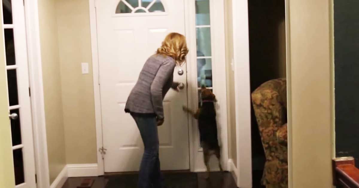 TORNA A CASA DOPO UN VIAGGIO DI LAVORO DURATO DUE ANNI, IL CANE GLI RISERVA UN'ACCOGLIENZA MERAVIGLIOSA - VIDEO - 06/05/2015