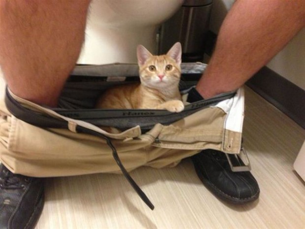 QUANDO I CUCCIOLI NON TI LASCIANO MAI UN MOMENTO DI INTIMITA' - FOTO - 14/01/2017
