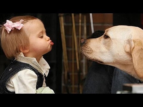 CANI E BAMBINI CHE COMUNICANO TRA LORO - VIDEO DIVERTENTISSIMO - 28/05/2015