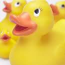 CONDIVIDI 'NA BELLA PAPERA SENZA MOTIVO !! - 18/03/2012