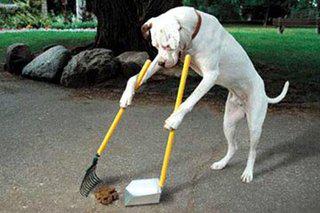 CE MANCAVA SOLO FACEBOOK SUR CELLULARE... - 18/03/2012