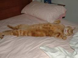 NUN VEDO L'ORA DE TORNA' A CASA A BUTTAMME A QUATTRO DE SPADE SUR LETTO !! - 19/03/2012