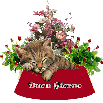 *** BUON GIORNO A TUTTI VOI *** - 12/09/2012