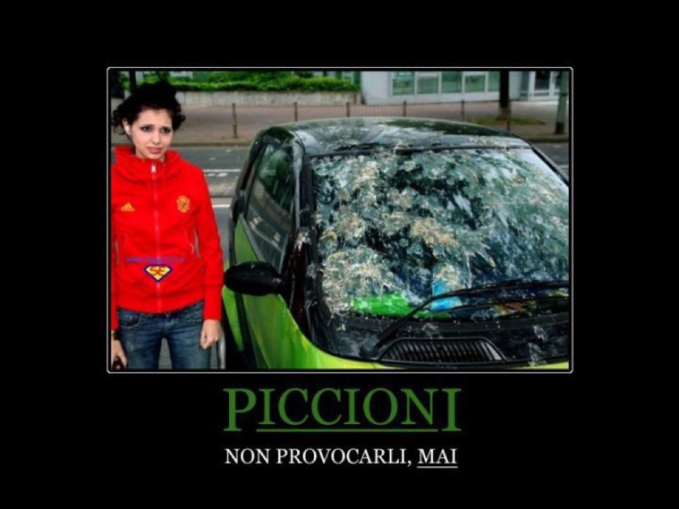 NUN PROVOCALLI MAI !! - 24/03/2012