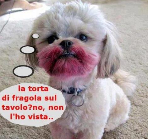 NUN SO' STATO IO !! - 03/10/2012