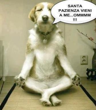 ME STO A CONCENTRA' !! - 03/10/2012