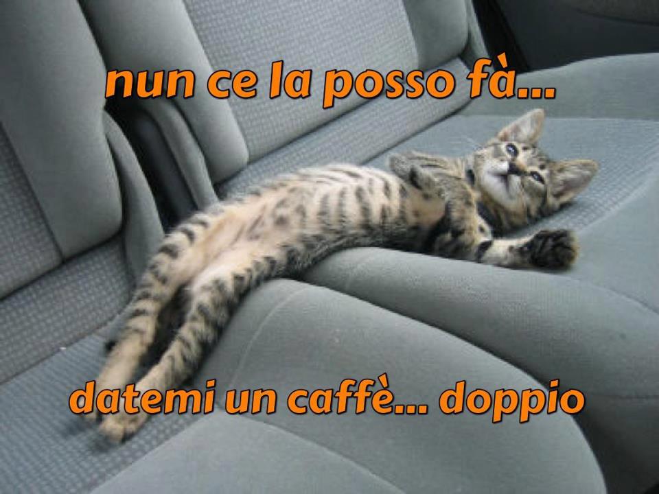 NUN CE LA POSSO FA !! - 23/10/2012