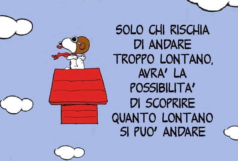 Immagine Divertente - 15/12/2012