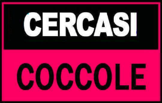 A.A.A. CERCASE - 02/02/2013