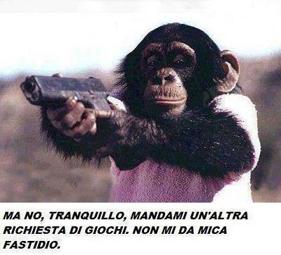 Immagine Divertente - 16/02/2013