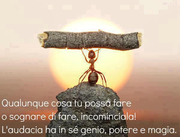 Immagine Divertente - 22/02/2013