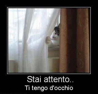 Immagine Divertente - 22/02/2013