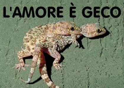 NUN CE POI FA' GNENTE !! - 22/02/2013