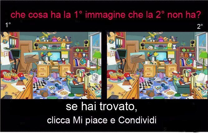 Immagine Divertente - 22/02/2013