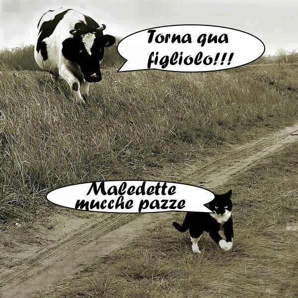 Vignetta Divertente - 23/02/2013