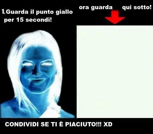 Immagine Divertente - 23/02/2013