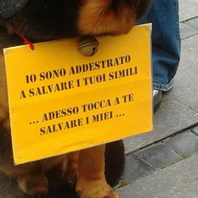 PROTEGGEMO L'ANIMALI !! - 07/06/2012