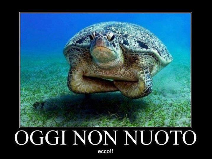 NUN ME VA DE FA NIENTE !! - 13/06/2012