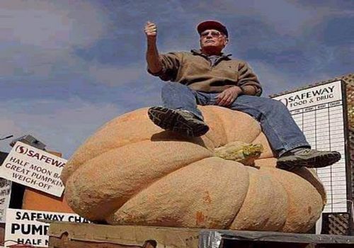 Scherzo della natura - 19/03/2012