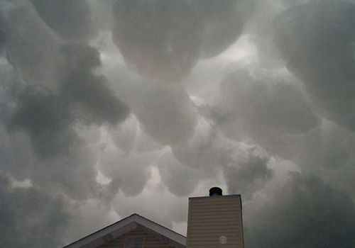 Scherzo della natura - 19/03/2012