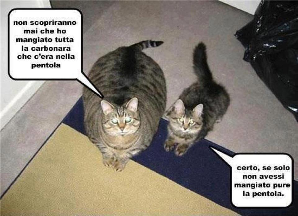 CE SGAMANO !! - 02/11/2012
