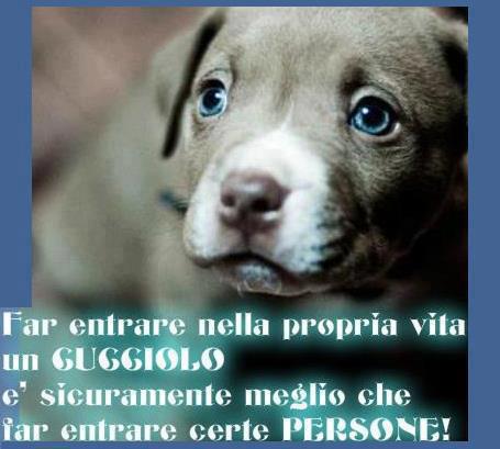 'NA COSA E' CERTA !! - 02/11/2012