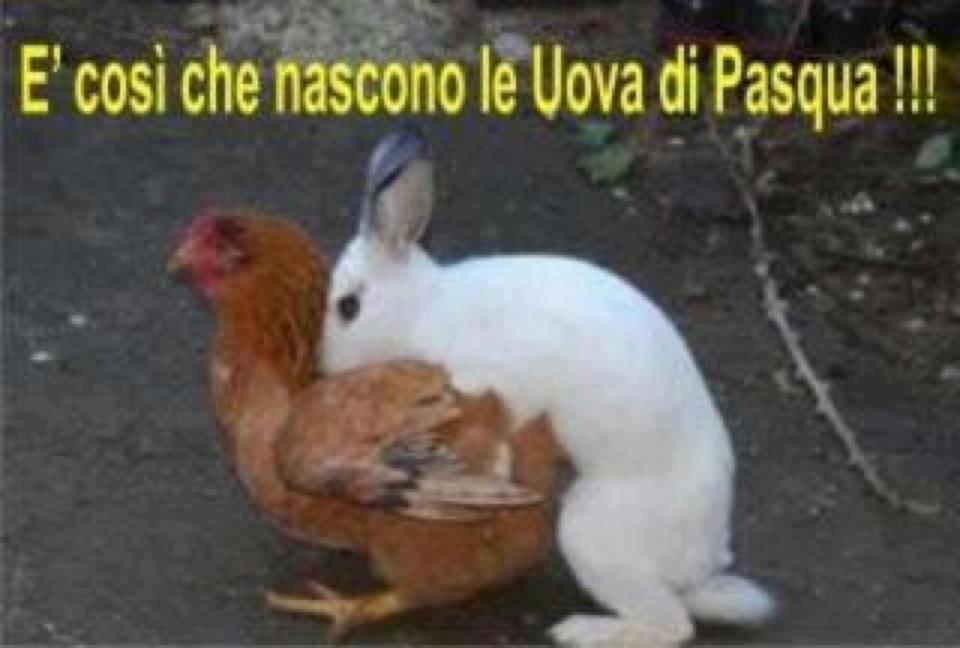 E' COSI' CHE NASCONO LE OVA DE PASQUA !! - 04/04/2012