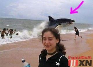 Immagine Divertente - 02/06/2012