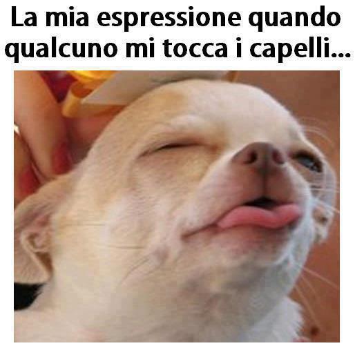 Immagine Divertente - 19/03/2013