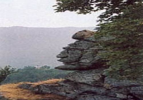 Scherzo della natura - 19/03/2012