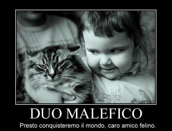 Immagine Divertente - 27/04/2012