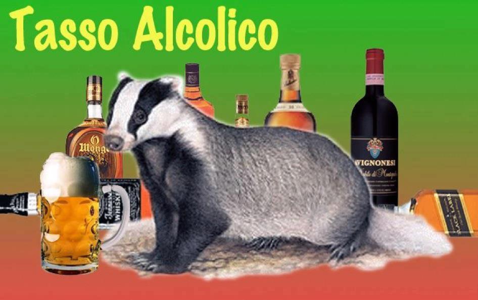 ER FAMOSO TASSO ALCOLICO !! - 18/05/2012