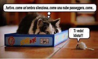 Immagine Divertente - 29/04/2012