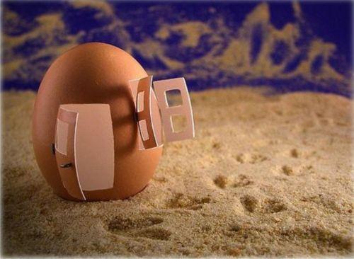 Immagine Divertente - 08/04/2012