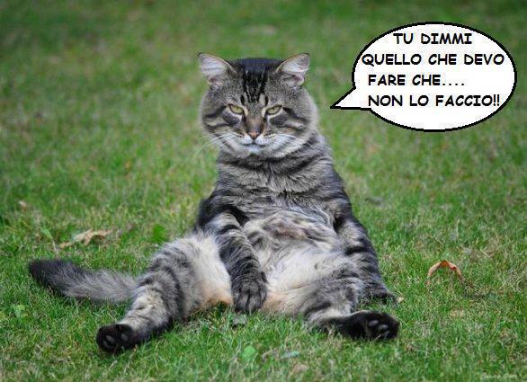 NUN ME VA DE FA' NIENTE !! - 06/10/2012