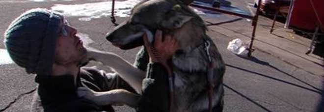 ''VOGLIONO UCCIDERE IL MIO CANE, SALVATELO''. IL DISPERATO APPELLO ONLINE DI ALEX - FOTO - 24/02/2014