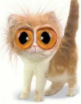 STO A SCLERA' !! - 07/03/2012